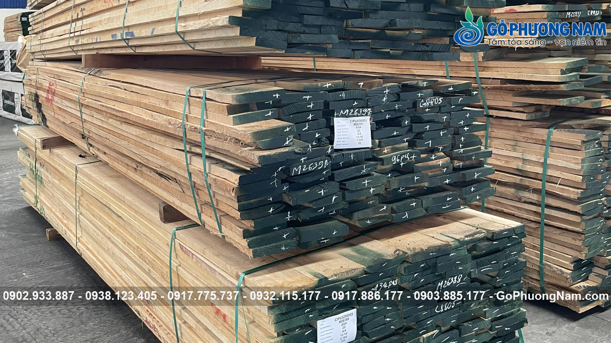 Mua gỗ tần bì nguyên liệu nhập khẩu