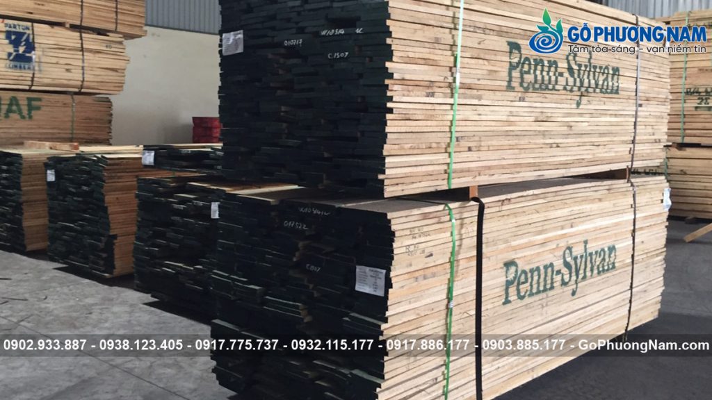 Nhà cung cấp gỗ sồi uy tín toàn quốc