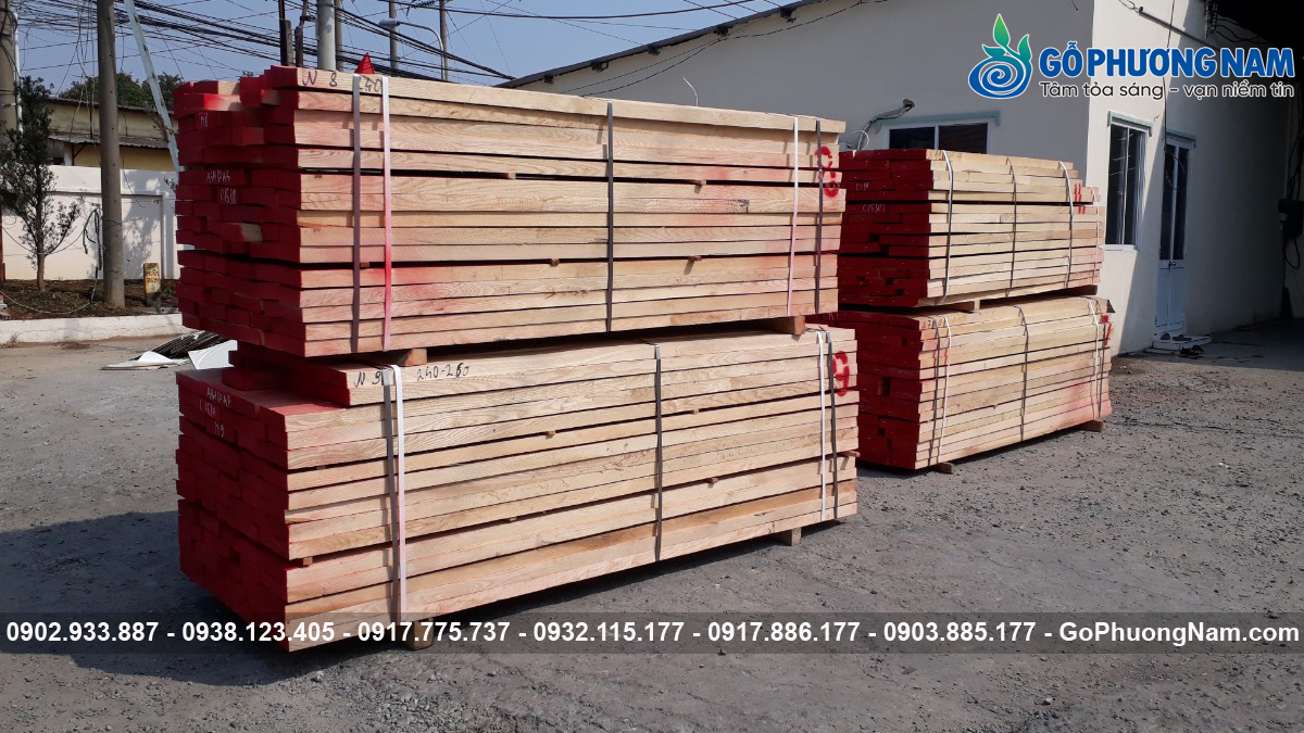 Báo giá gỗ tần bì xẻ sấy 1m3 mới nhất Báo giá gỗ tần bì xẻ sấy 1m3 mới nhất