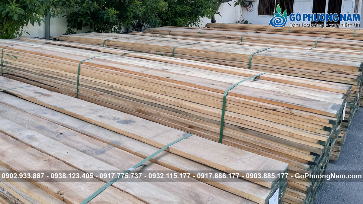 Chuyên cung cấp gỗ sồi đỏ xẻ sấy Chuyên cung cấp gỗ sồi đỏ xẻ sấy
