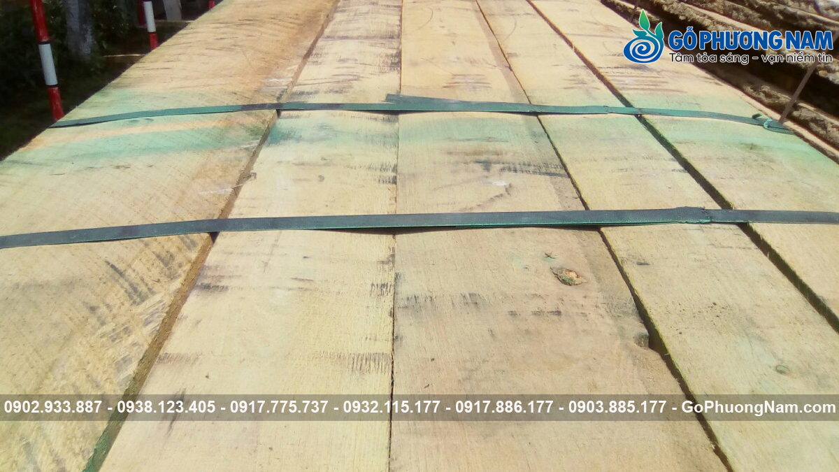 Địa chỉ mua gỗ sồi xẻ sấy giá sỉ Địa chỉ mua gỗ sồi xẻ sấy giá sỉ