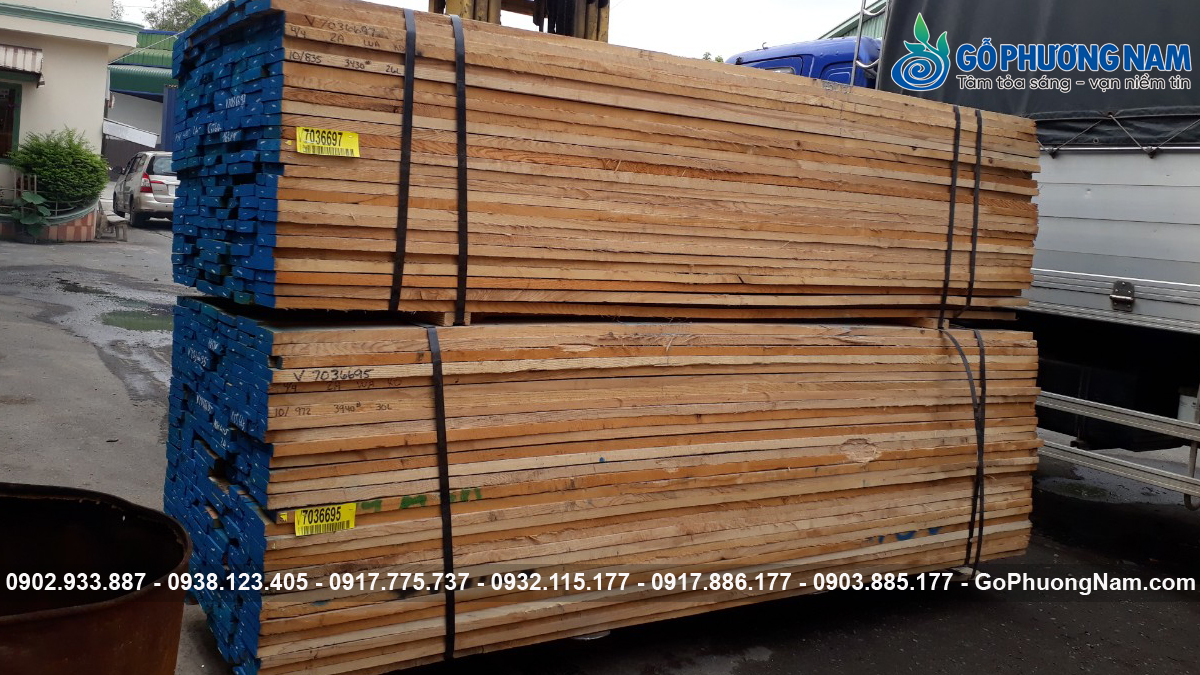 Đơn vị phân phối gỗ tần bì xẻ sấy uy tín giá tốt Đơn vị phân phối gỗ tần bì xẻ sấy uy tín giá tốt