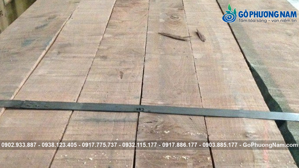 Giá gỗ óc chó Mỹ 1m3 hiện nay Giá gỗ óc chó Mỹ 1m3 hiện nay