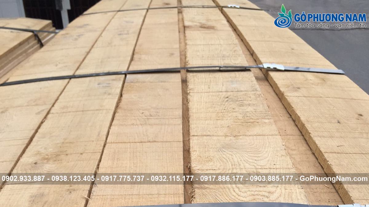 giá gỗ sồi xẻ sấy mua nơi nào rẻ giá gỗ sồi xẻ sấy mua nơi nào rẻ