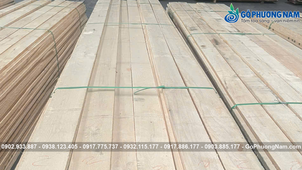 Giá gỗ tần bì xẻ sấy 1m3 mới nhất Giá gỗ tần bì xẻ sấy 1m3 mới nhất