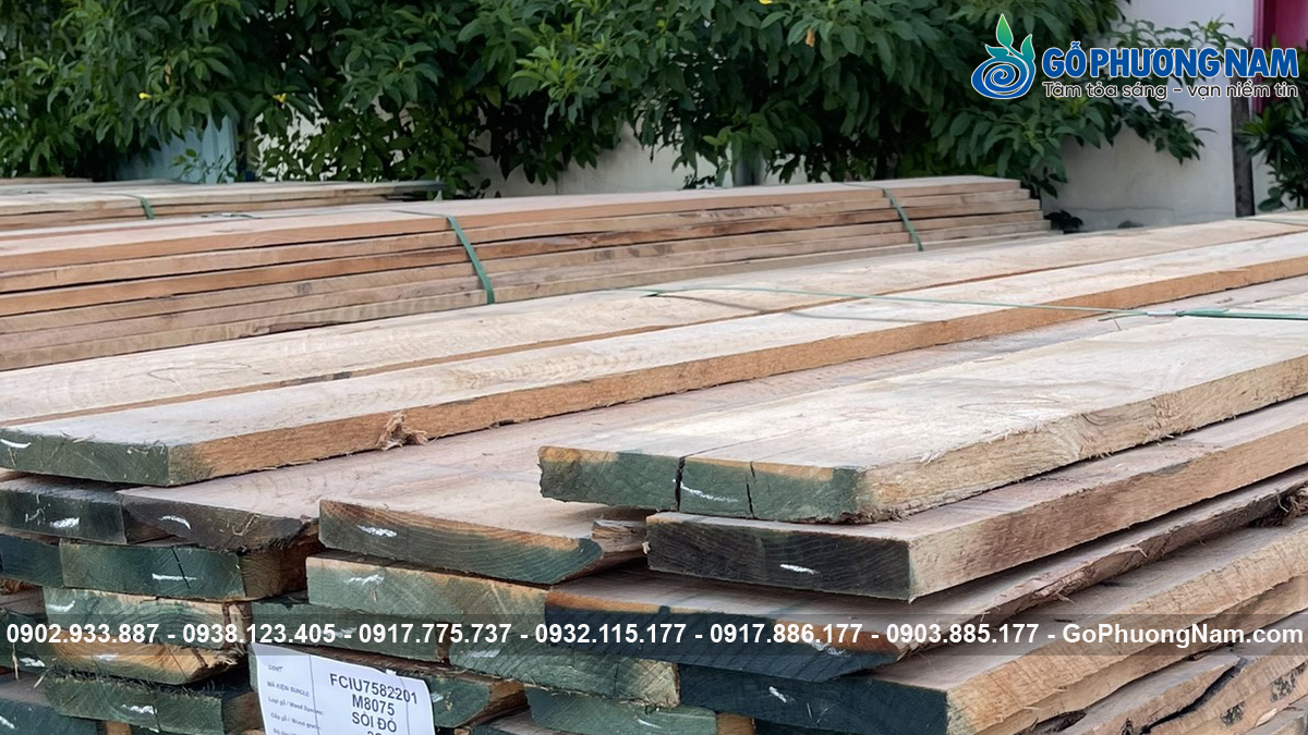 Gỗ sồi đỏ xẻ sấy chất lượng Gỗ sồi đỏ xẻ sấy chất lượng