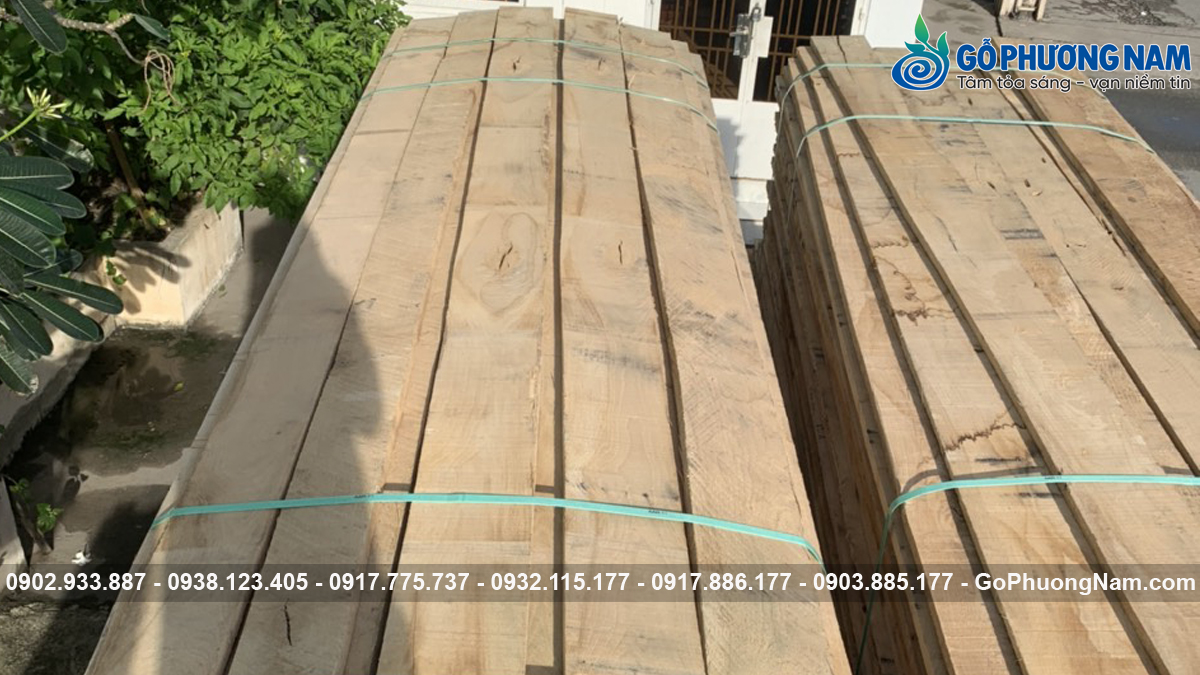 gỗ sồi Mỹ nguyên liệu xẻ sấy