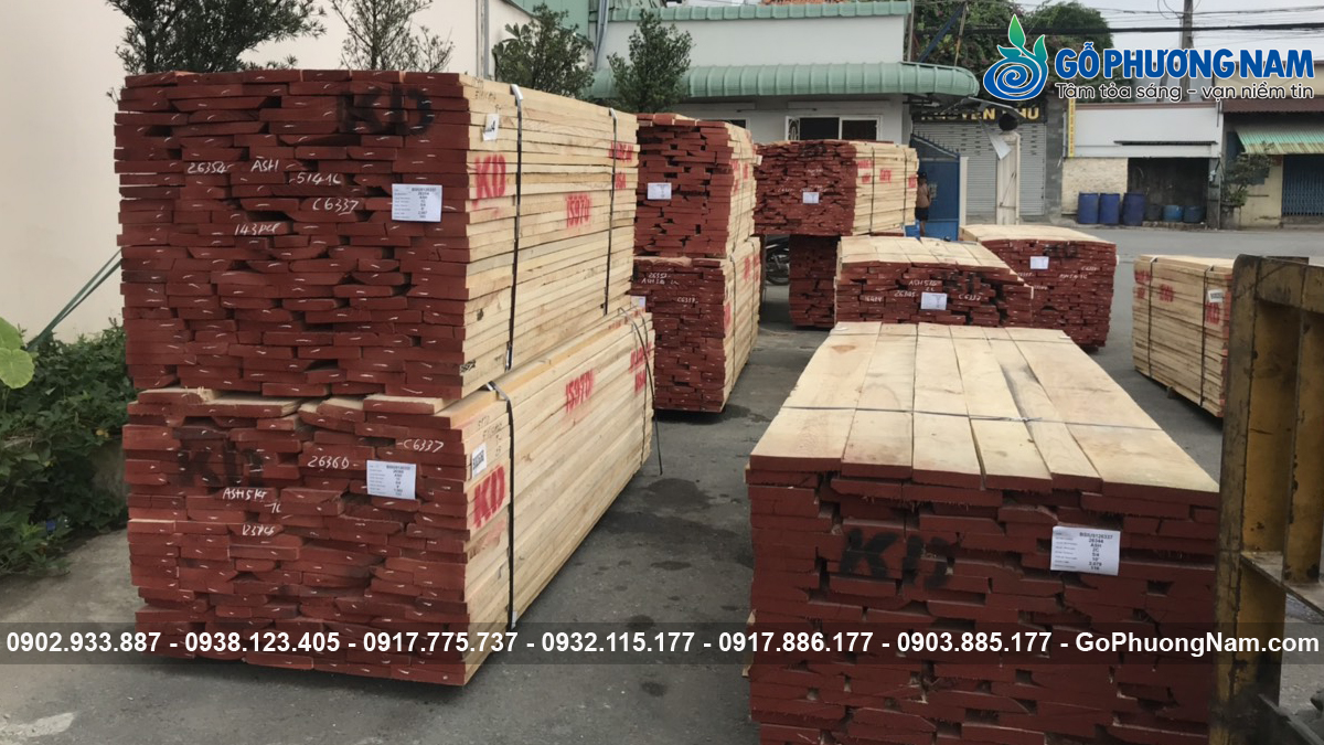 Gỗ tần bì bao nhiêu tiền một khối xẻ sấy Gỗ tần bì bao nhiêu tiền một khối xẻ sấy