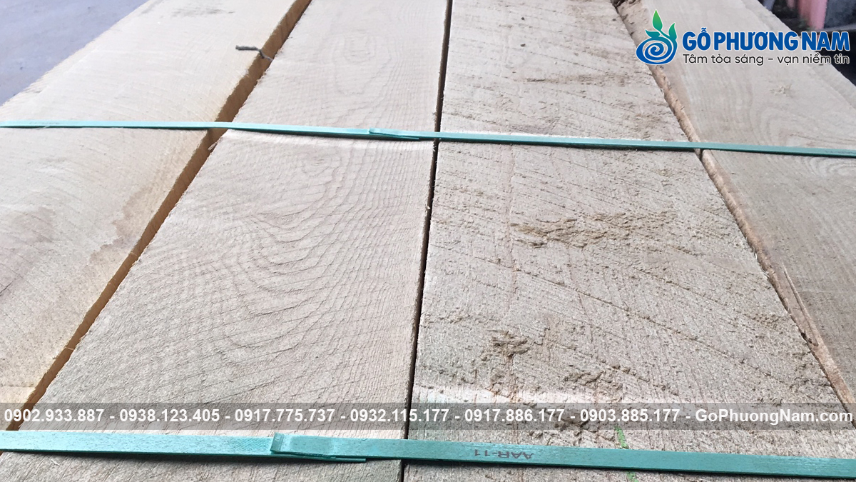 Gỗ tần bì xẻ sấy giá sỉ tại kho