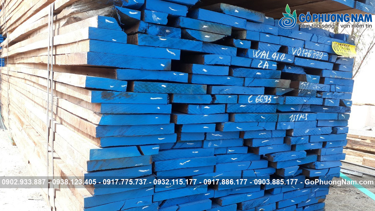 Kho gỗ óc chó Mỹ giá sỉ tại kho Kho gỗ óc chó Mỹ giá sỉ tại kho
