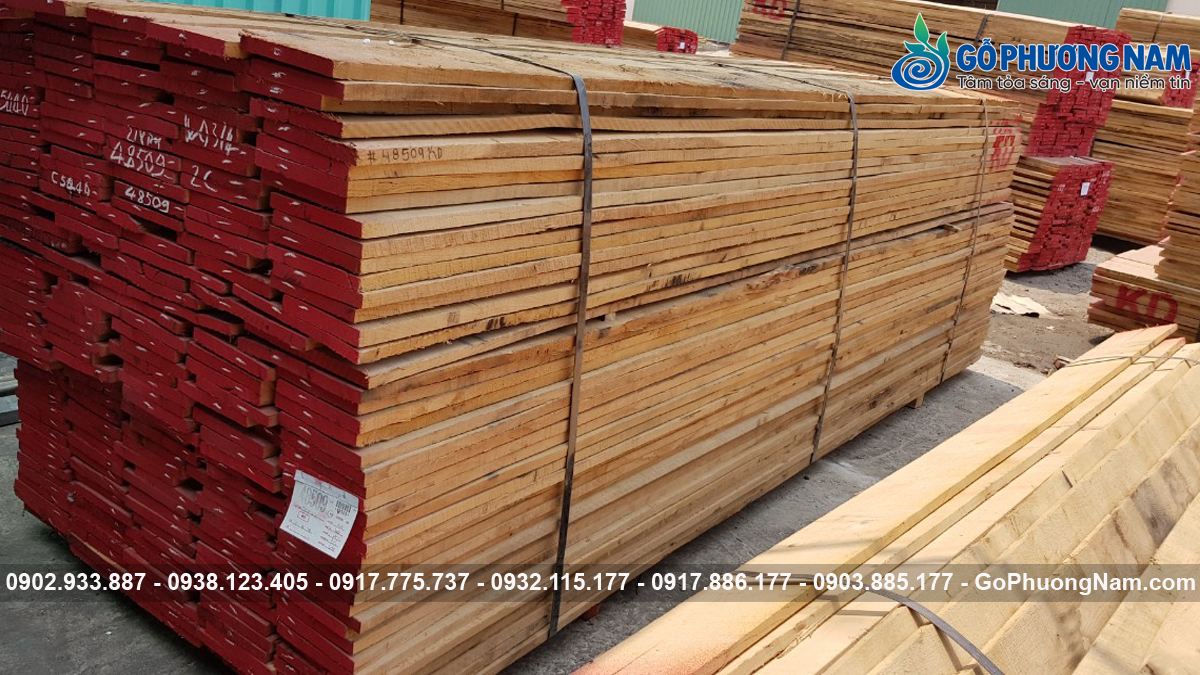 Mua gỗ sồi xẻ sấy ở đâu giá kho rẻ Mua gỗ sồi xẻ sấy ở đâu giá kho rẻ