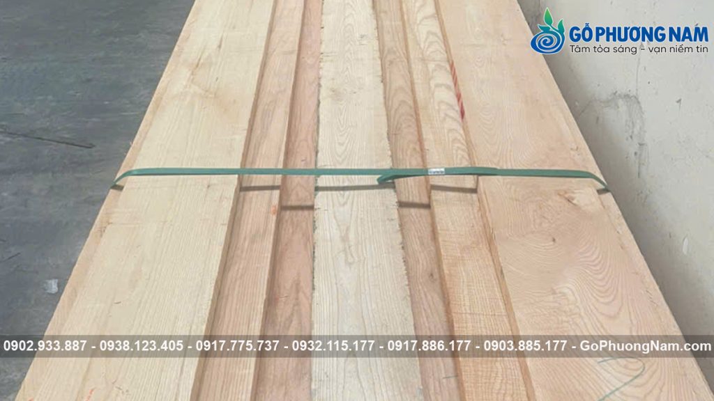 Nhà cung cấp gỗ tần bì uy tín