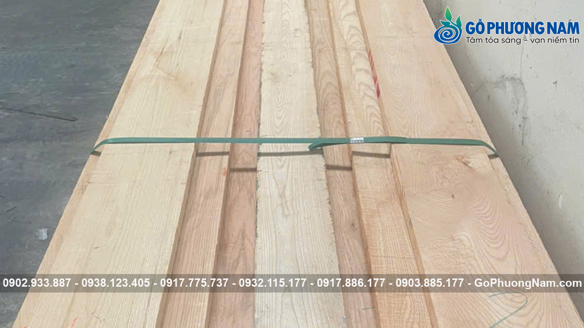 Nhà cung cấp gỗ tần bì uy tín Nhà cung cấp gỗ tần bì uy tín